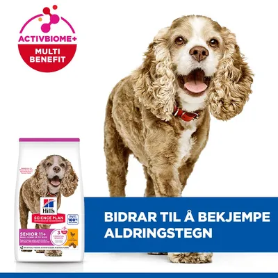 Hill's Science Plan Senior 11+ Small & Mini med kylling