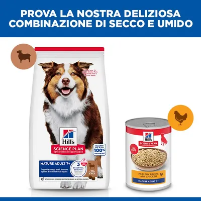 Hill's Science Plan Mature Adult 7+ Medium con Agnello e Riso