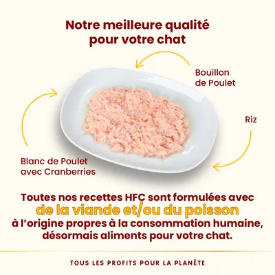 Blanc de poulet avec canneberges, bouillon de poulet et riz dans une assiette. Recettes HFC avec de la viande et/ou du poisson de qualité alimentaire, désormais en nourriture pour chat. Blanc de poulet avec canneberges, bouillon de poulet et riz dans une assiette. Recettes HFC avec de la viande et/ou du poisson de qualité alimentaire, désormais en nourriture pour chat.