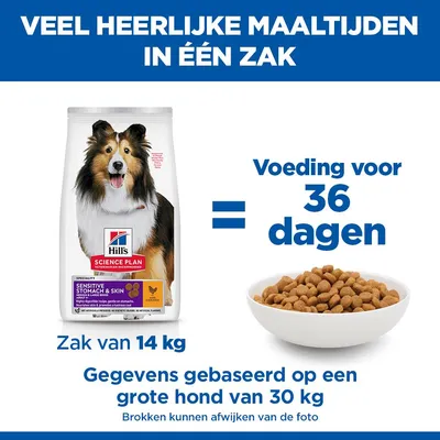 Hill's Science Plan Adult Sensitive Stomach & Skin Medium met Kip Hondenvoer