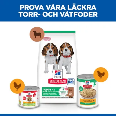 Hill's Science Plan Puppy <1 Medium Lamb & Rice