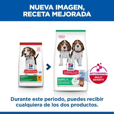 Hill's Science Plan Puppy <1 Medium con cordero y arroz