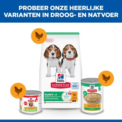 Hill's Science Plan Puppy <1 Medium met Kip