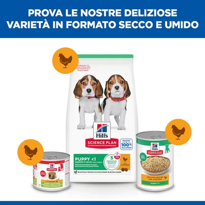 Hill's Science Plan Puppy <1 Medium con Pollo