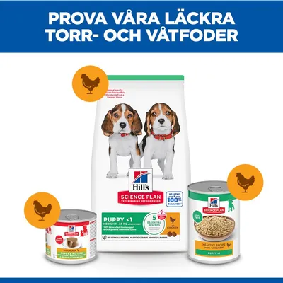 Hill's Science Plan Puppy <1 Medium Chicken