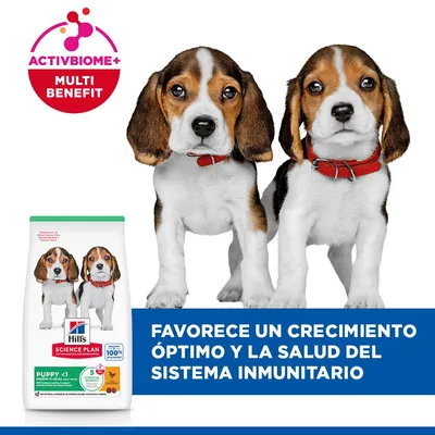 Hill's Science Plan Puppy <1 Medium  con pollo