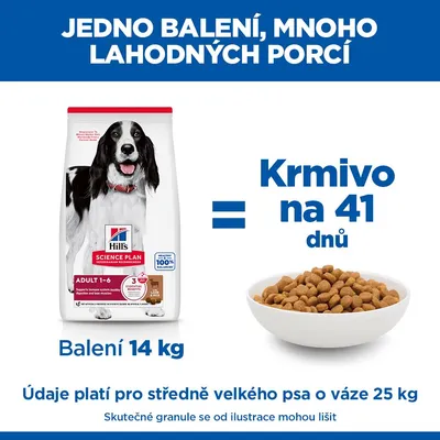 Hill's Science Plan Adult 1-6 Medium jahňacie a ryža