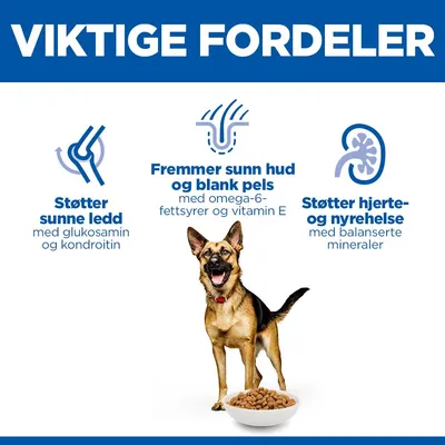 Hill's Science Plan Mature Adult 6+ Large med kylling