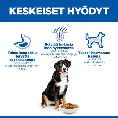 Hill's Science Plan Adult 1-5 Large Breed Lamb & Rice