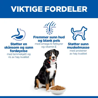 Hill's Science Plan Adult 1-5 Large med Lam & Ris