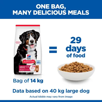 Hill's Science Plan Adult 1-5 Large bárány & rizs