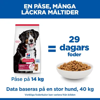 Hill's Science Plan Adult 1-5 Large Lamb & Rice