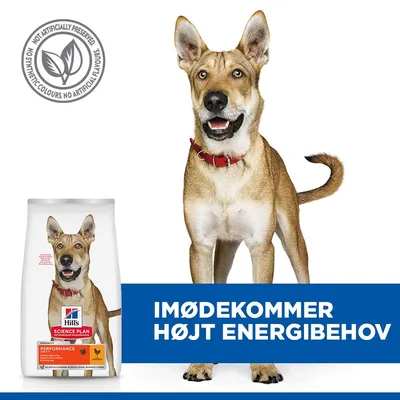 Hill's Science Plan Adult 1+ Performance med Kylling