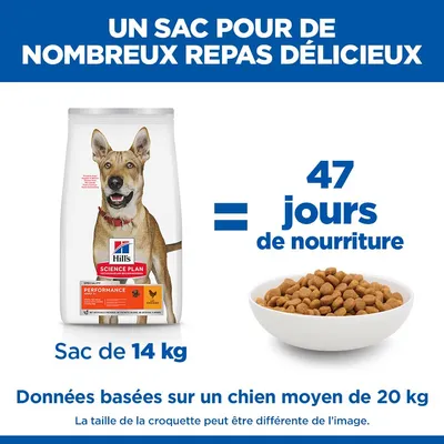 Hill's Science Plan Adult 1+ Performance poulet