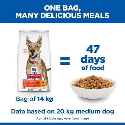 Hill's Science Plan Performance Adult 1+ csirke