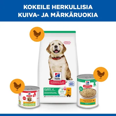 Hill's Science Plan Puppy <1 Large Breed kana Hill's Science Plan Puppy <1 Large Breed kana