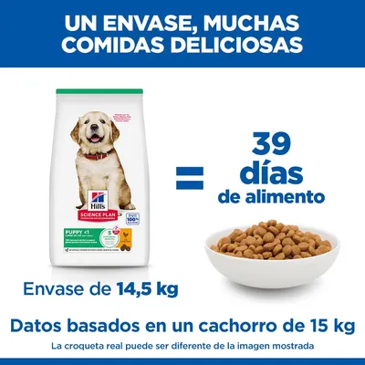 Hill's Science Plan Puppy <1 Large con pollo