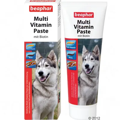 Tube et boîte Beaphar Multi Vitamin Paste mit Biotin, photo de chien, texte allemand, mentions Multi-Vitamin et Biotin visibles sur l’emballage.