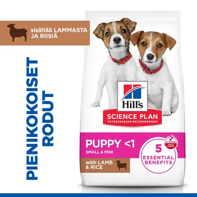 Hill's Science Plan Puppy <1 Small & Mini lampaanlihaa ja riisiä, 5 olennaista hyötyä, sisältää lammasta ja riisiä. Pienille koiraroduille. Hill's Science Plan Puppy <1 Small & Mini lampaanlihaa ja riisiä, 5 olennaista hyötyä, sisältää lammasta ja riisiä. Pienille koiraroduille.