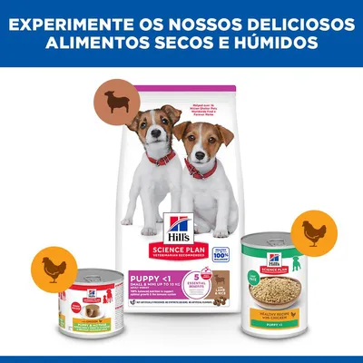 Hill's Science Plan Puppy Small & Mini cordeiro e arroz