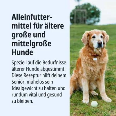 Alleinfuttermittel für ältere große und mittelgroße Hunde. Rezeptur hilft Senioren, Idealgewicht zu halten und vital sowie gesund zu bleiben.