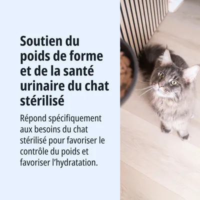 Soutien du poids idéal et de la santé urinaire chez les chats stérilisés. Formulé spécialement pour répondre aux besoins des chats stérilisés en matière de contrôle du poids et d’hydratation.