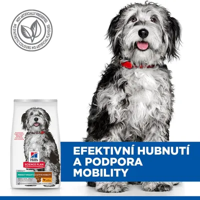 Hill's Science Plan Perfect Weight a Active Mobility Adult 1+ Medium s kuřecím