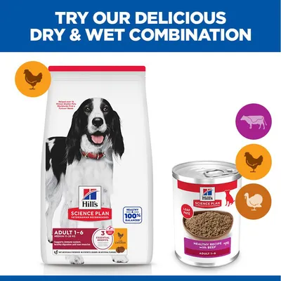 Hill's Science Plan Adult