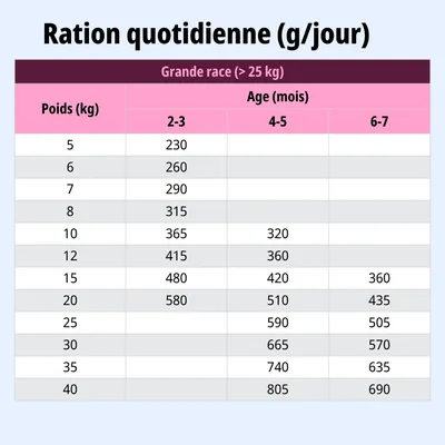 Tableau d'alimentation pour les grandes races de plus de 25 kg : ration journalière recommandée en grammes selon le poids (5, 40 kg) et l'âge (2, 7 mois) répartis.