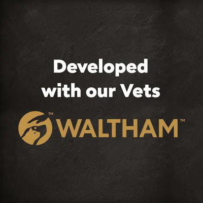 Cesar Junior with Chicken, Rice & Vegetables