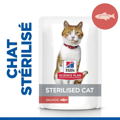 Sachet Hill's Science Plan pour chat stérilisé, saveur saumon, texte visible : STERILISED CAT, SALMON, image d’un chat roux et blanc avec collier rouge.