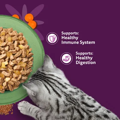Whiskas 1+ Superfoods Mixed Selection in Jelly