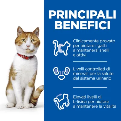 PRINCIPALI BENEFICI: Clinicamente provato per aiutare i gatti a mantenersi snelli e attivi. Livelli controllati di minerali per la salute del sistema urinario. Elevati livelli di L-lisina.