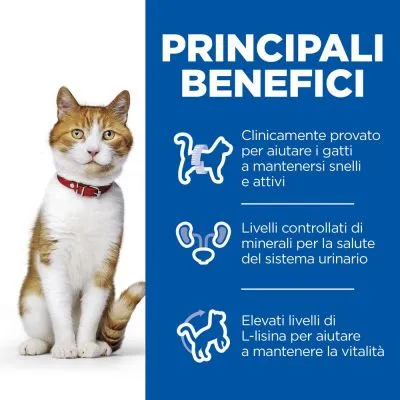 Principali benefici: clinicamente provato per aiutare i gatti a mantenersi snelli e attivi, livelli controllati di minerali per la salute urinaria, elevati livelli di L-lisina per vitalità.