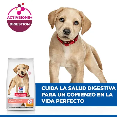 Hill's Science Plan Perfect Digestion Puppy Large pollo y arroz integral