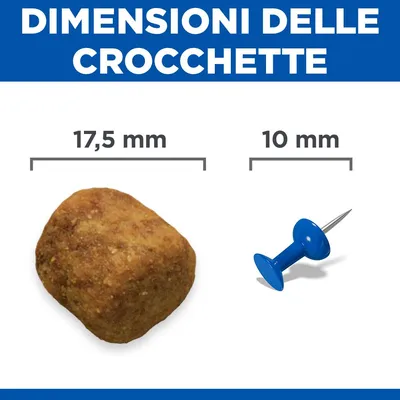 Hill's Science Plan Senior Vitality Mature Adult 6+ Large con Pollo