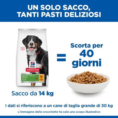 Hill's Science Plan Senior Vitality Mature Adult 6+ Large con Pollo