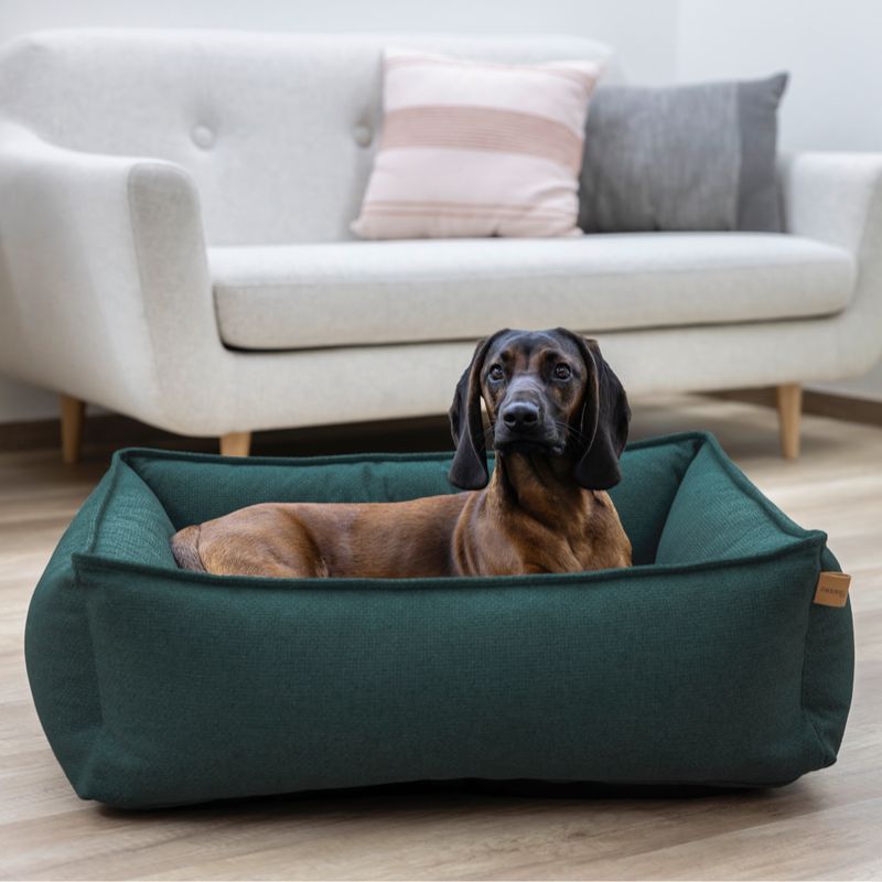 Kerbl Pet Kuschelbett Oliver