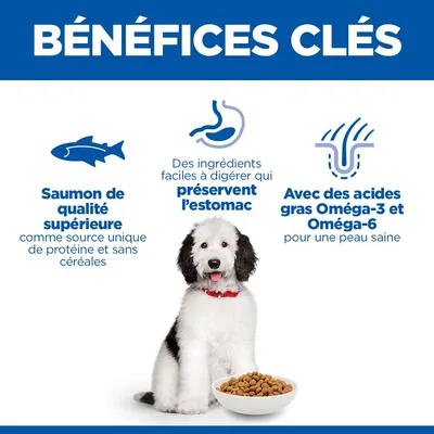 Hill’s Science Plan Hypoallergenic Adult Large avec saumon