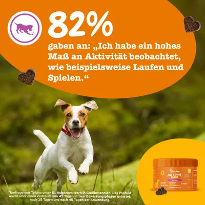 Zesty Paws Hip & Joint Chews Truthahn