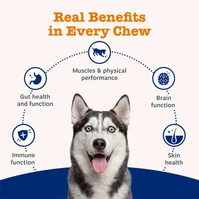 Zesty Paws 5-in-1 Chews Multifunctional - Turkey - dog supplements - 50 Chews Zesty Paws 5-in-1 Chews Multifunctional - Turkey - dog supplements - 50 Chews
