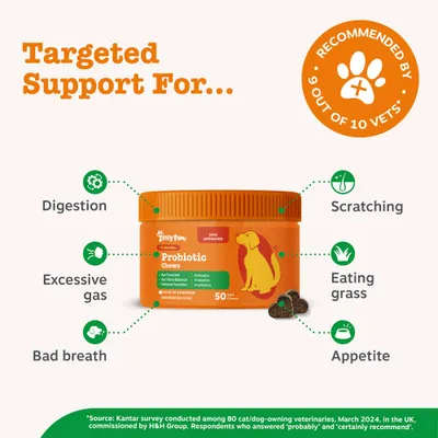 Zesty Paws Probiotic Chews Digestion - Pumpkin - dog supplements - 50 Chews Zesty Paws Probiotic Chews Digestion - Pumpkin - dog supplements - 50 Chews