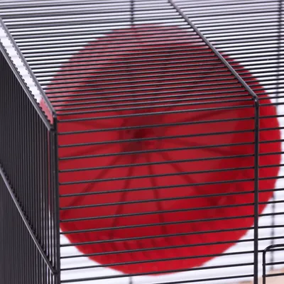 Skyline Hamsterbur Roy
