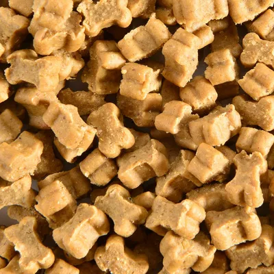 Primo piano di piccoli snack per cani a forma di osso di colore marrone.