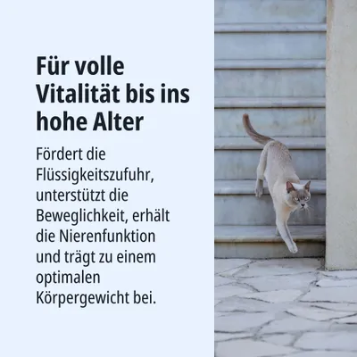 Für volle Vitalität bis ins hohe Alter. Fördert Flüssigkeitszufuhr, unterstützt Beweglichkeit, erhält Nierenfunktion und trägt zu optimalem Körpergewicht bei. Für volle Vitalität bis ins hohe Alter. Fördert Flüssigkeitszufuhr, unterstützt Beweglichkeit, erhält Nierenfunktion und trägt zu optimalem Körpergewicht bei.