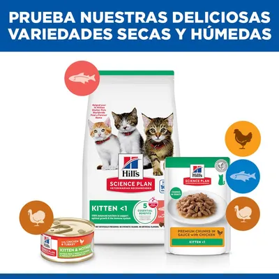 Hill's Science Plan Kitten <1 salmón