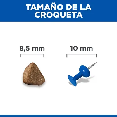 Hill's Science Plan Kitten <1 salmón