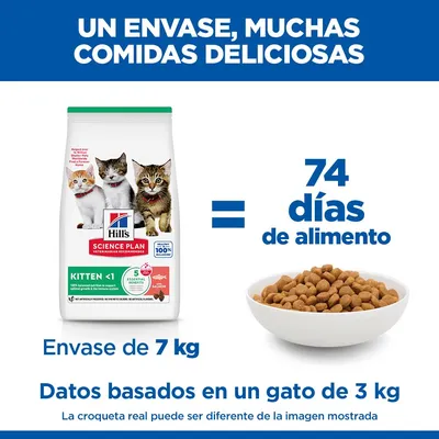 Hill's Science Plan Kitten <1 salmón