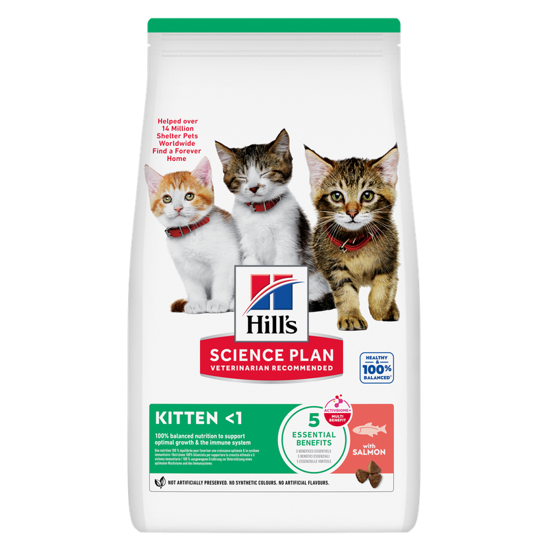 Hill's Science Plan Kitten <1 Salmon