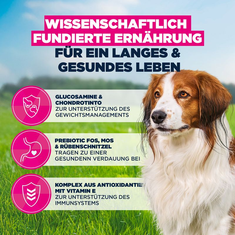 Eukanuba Premium Nutrition Senior Small & Medium Breed Lamm & Reis
